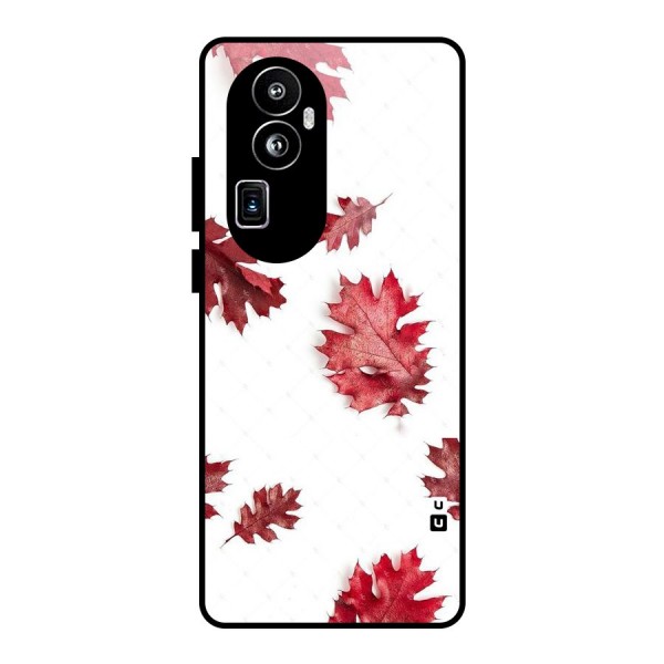 Red Appealing Autumn Leaves Glass Back Case for Oppo Reno10 Pro Plus