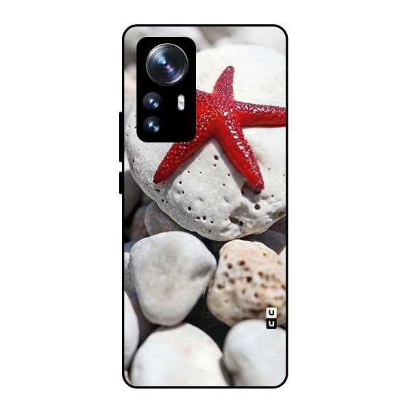 Red Star Fish Metal Back Case for Xiaomi 12 Pro