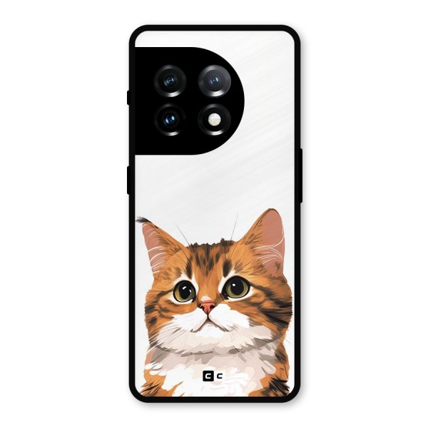 The Cute Cat Metal Back Case for OnePlus 11