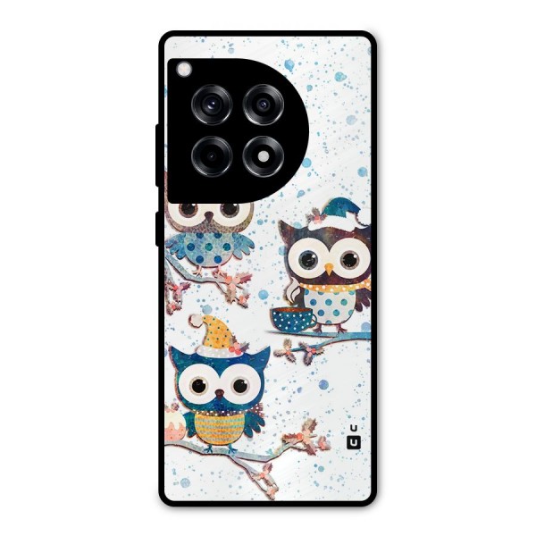 Winter Owls Metal Back Case for OnePlus 12R
