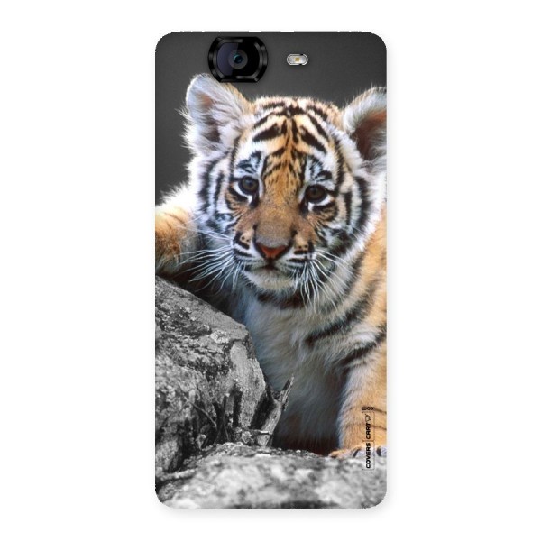 Animal Beauty Back Case for Canvas Knight A350