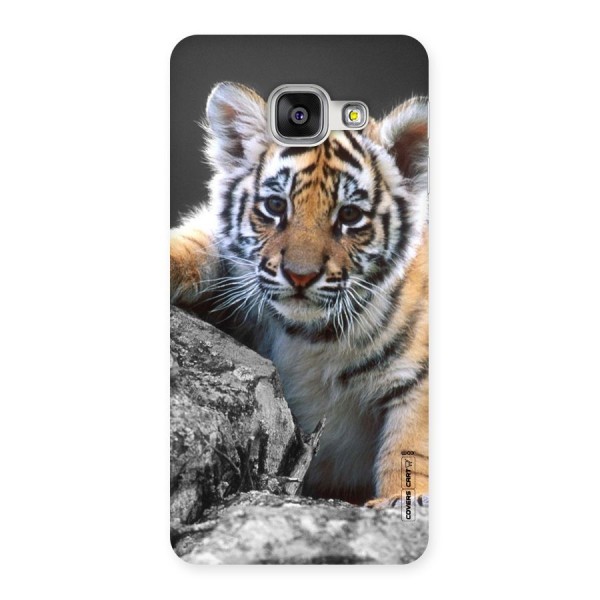 Animal Beauty Back Case for Galaxy A3 2016