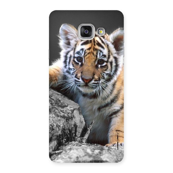 Animal Beauty Back Case for Galaxy A7 2016