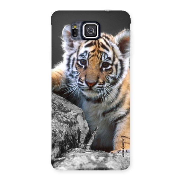 Animal Beauty Back Case for Galaxy Alpha