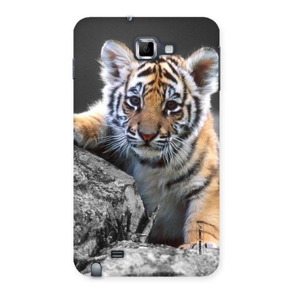 Animal Beauty Back Case for Galaxy Note