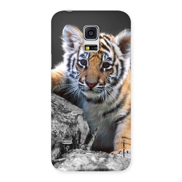 Animal Beauty Back Case for Galaxy S5 Mini