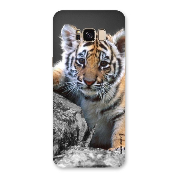 Animal Beauty Back Case for Galaxy S8 Plus