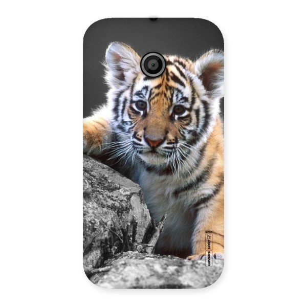 Animal Beauty Back Case for Moto E