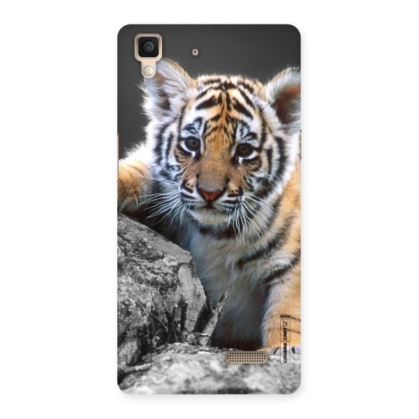 Animal Beauty Back Case for Oppo R7