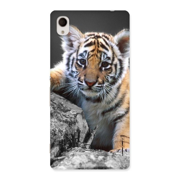 Animal Beauty Back Case for Xperia M4 Aqua