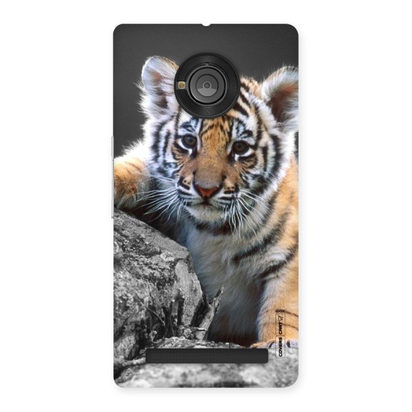 Animal Beauty Back Case for Yu Yuphoria