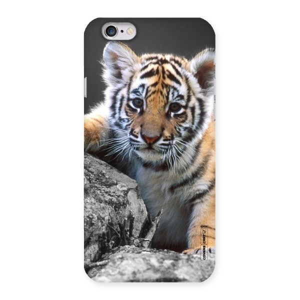 Animal Beauty Back Case for iPhone 6 6S