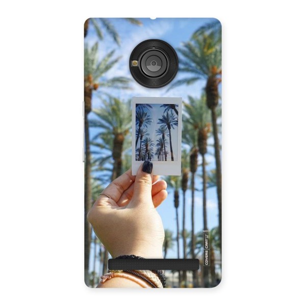 Beach Trees Back Case for Yu Yuphoria