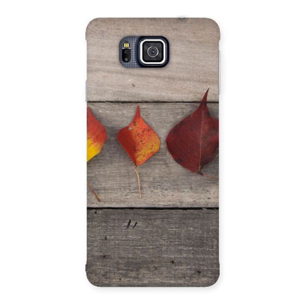 Beautiful Wood Leafs Back Case for Galaxy Alpha