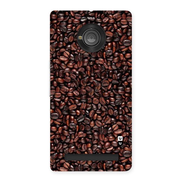 Cocoa Beans Back Case for Yu Yuphoria