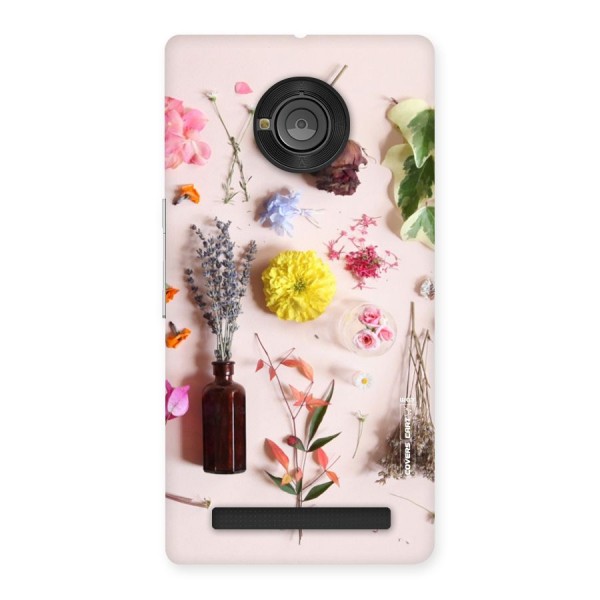 Old Petals Back Case for Yu Yuphoria