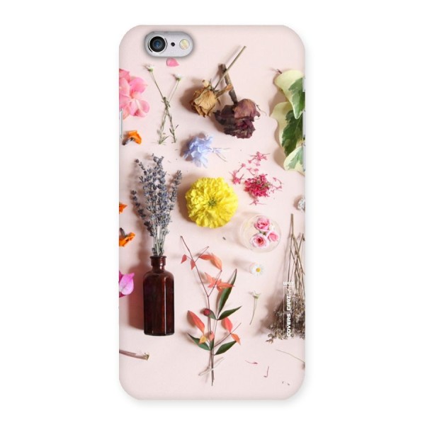 Old Petals Back Case for iPhone 6 6S