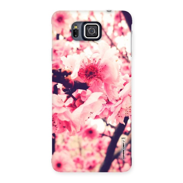 Pretty Pink Flowers Back Case for Galaxy Alpha