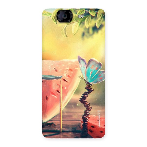 Watermelon Butterfly Back Case for Canvas Knight A350