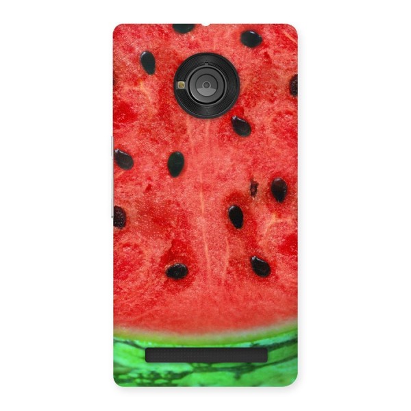 Watermelon Design Back Case for Yu Yuphoria