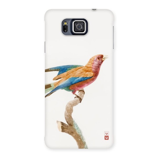 Beautiful Bird Back Case for Galaxy Alpha