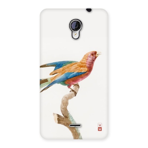 Beautiful Bird Back Case for Micromax Unite 2 A106