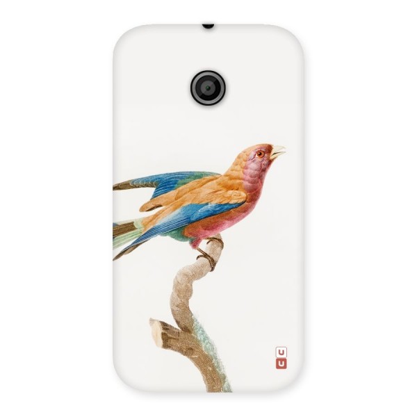 Beautiful Bird Back Case for Moto E