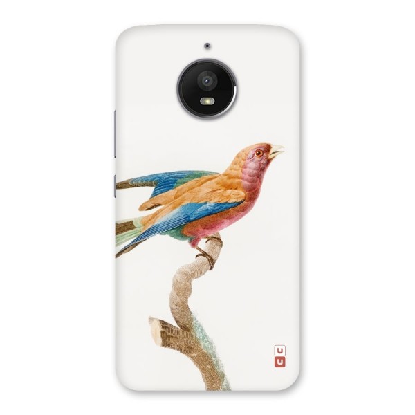 Beautiful Bird Back Case for Moto E4 Plus