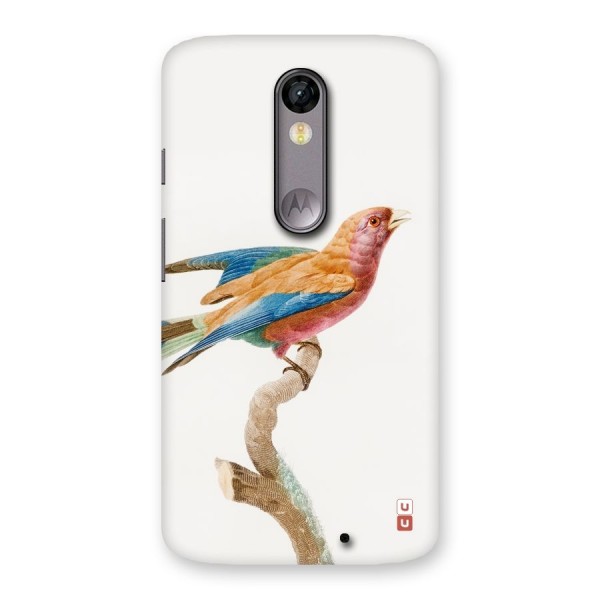 Beautiful Bird Back Case for Moto X Force