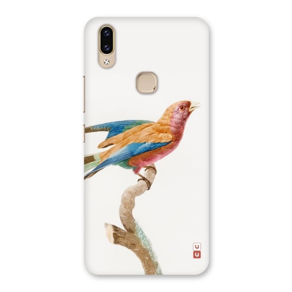 Beautiful Bird Back Case for Vivo V9