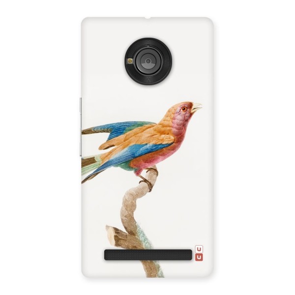 Beautiful Bird Back Case for Yu Yuphoria