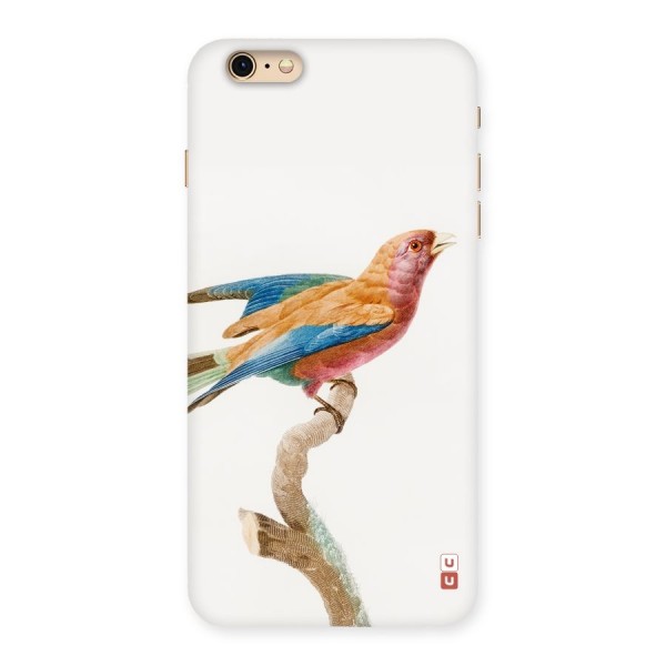 Beautiful Bird Back Case for iPhone 6 Plus 6S Plus