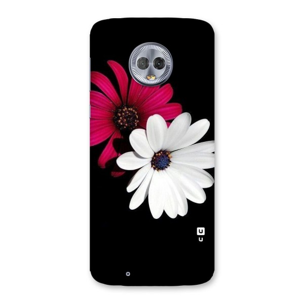 Beautiful Blooming Back Case for Moto G6