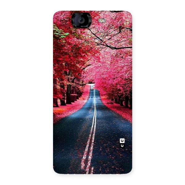 Beautiful Red Trees Back Case for Canvas Knight A350