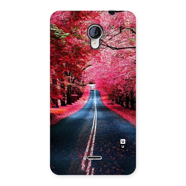 Beautiful Red Trees Back Case for Micromax Unite 2 A106