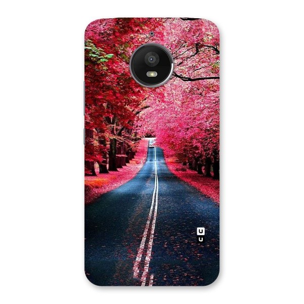 Beautiful Red Trees Back Case for Moto E4 Plus