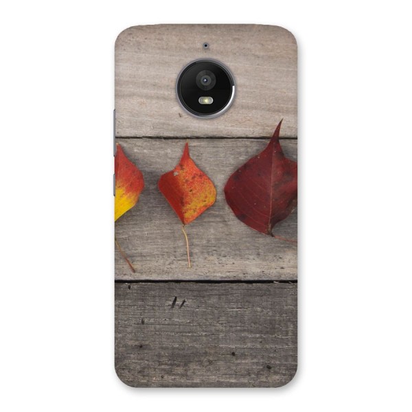 Beautiful Wood Leafs Back Case for Moto E4 Plus