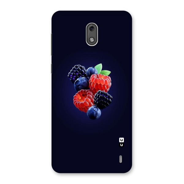 Berry Blast Back Case for Nokia 2