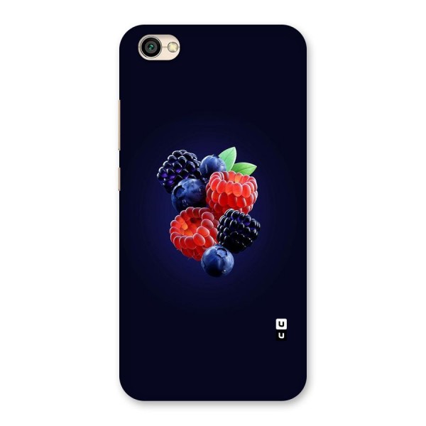 Berry Blast Back Case for Redmi Y1 Lite