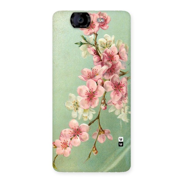 Blossom Cherry Design Back Case for Canvas Knight A350