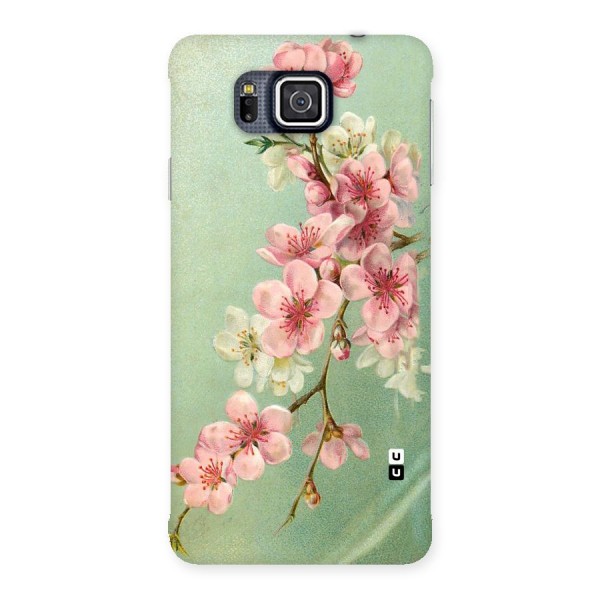 Blossom Cherry Design Back Case for Galaxy Alpha