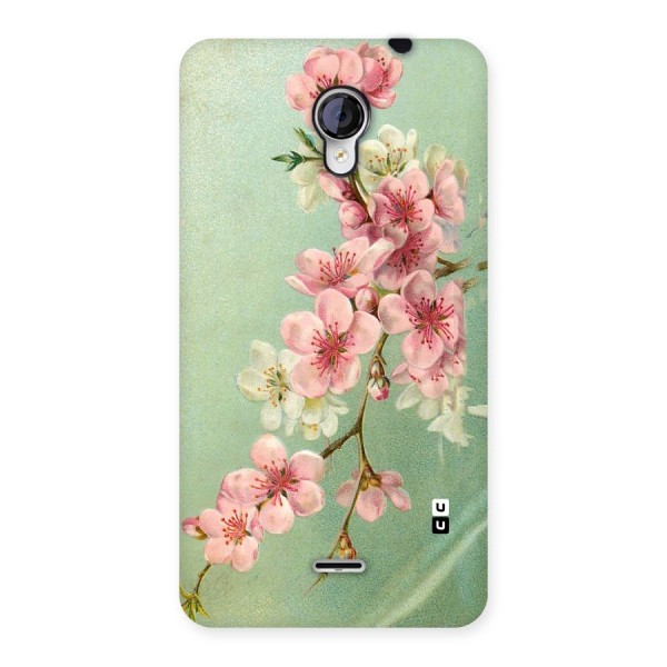 Blossom Cherry Design Back Case for Micromax Unite 2 A106