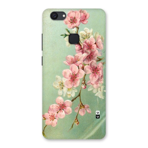 Blossom Cherry Design Back Case for Vivo V7 Plus