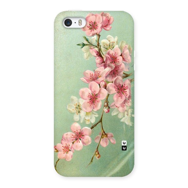 Blossom Cherry Design Back Case for iPhone 5 5S