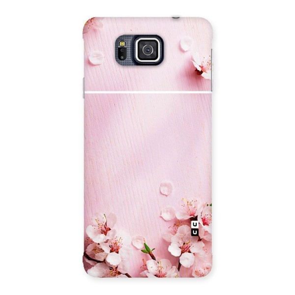 Blossom Frame Pink Back Case for Galaxy Alpha