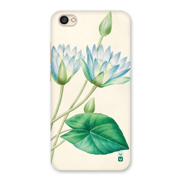 Blue Lotus Back Case for Redmi Y1 Lite