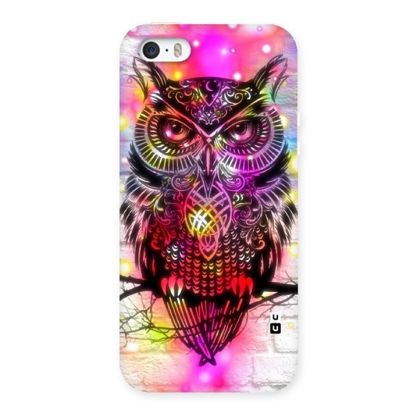 Colourful Owl Back Case for iPhone 5 5S