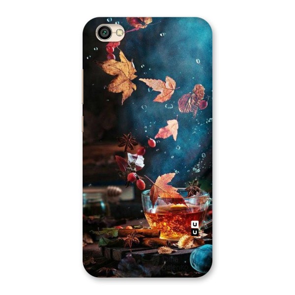 Falling Leaves Tea Back Case for Redmi Y1 Lite