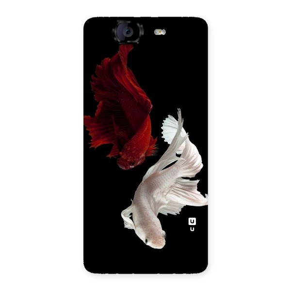 Fish Design Back Case for Canvas Knight A350