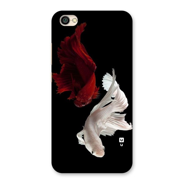 Fish Design Back Case for Redmi Y1 Lite